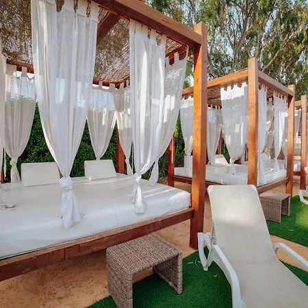 Resort Alannia Guardamar 4*