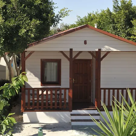 Alannia Guardamar 4*